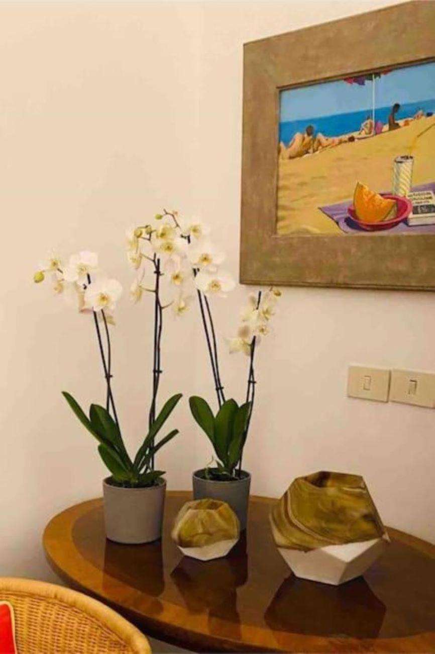 Appartamento Loft Ingresso Independente Zona San Lorenzo Roma